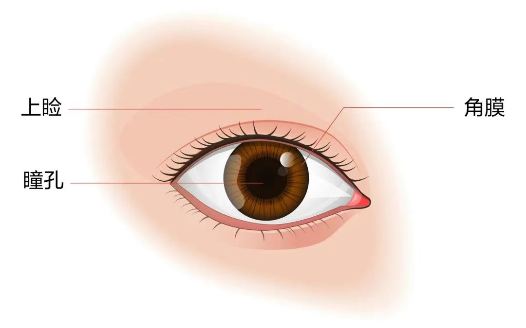 圖片.png 圖片.png