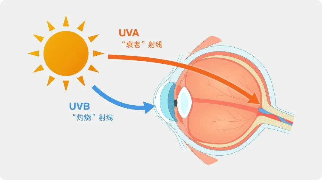 圖片.png 圖片.png